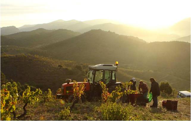 Fotograma de EL PRIORAT